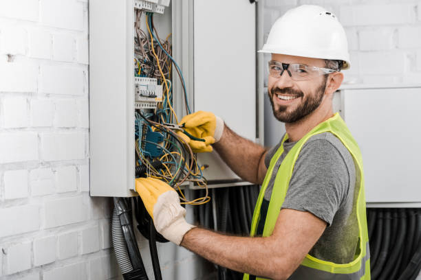 Best Electrician for Home Renovation  in Coleman, MI