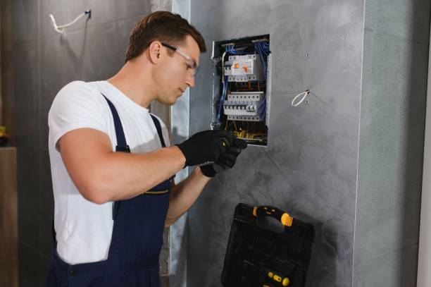 Best Electrical Upgrades for Homes  in Coleman, MI